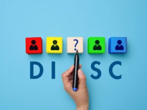 Los cuatro perfiles de la metodología DISC.